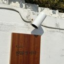 연화하가 | 기장 연화리 애견동반 감성카페 연화의바다, 바다뷰 분위기 맛집