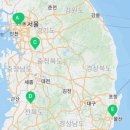 남성크로커다일부천원종점 이미지