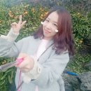 과수원피스펜션 이미지