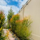 엄마의 정원 이미지