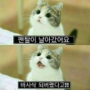 내일 더 이미지