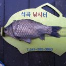 석곡낚시터 이미지