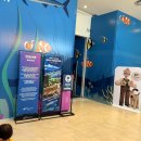 GS25시 한남대 북문점 | 서울 코엑스 아쿠아리움 월레스와 그로밋 전시_수상한 닭 현상 수배 (5/1~6/30)