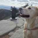 백세문 | 불암산 백세문 코스 산행(교통, 거리, 소요 시간, 볼거리)