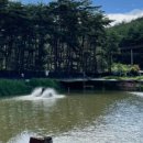 광야농장 이미지