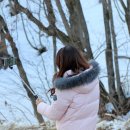 봉평메밀꽃향기 이미지