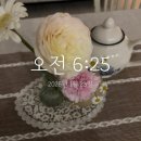 교촌경로식당 | 1박 2일 거제도 여행. 겨울 외도 보타니아, 거제 모노레일, 생생 게장백반