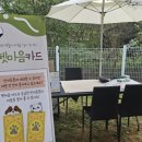 댕그리마켓
