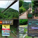 충북 증평 좌구산(坐龜山)명상 구름다리 체험 등산!~
