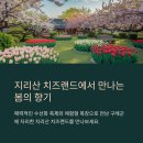 초원랜드 | 지리산 수선화와 치즈랜드 봄꽃여행 후기
