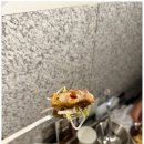 가야식육점 이미지