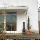 나무늘보,요정 이미지