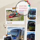 신정고등학교 후문 앞 이미지