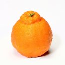 남양주나무요양병원 이미지