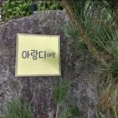 아랑디 애월 이미지