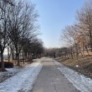 서울숲 습지생태원 화장실 | [서울 성동구 가볼만한곳] 서울숲 2월 나들이 🌳 | 딸과 함께한 초봄의 매력적인 도심 속 힐링 스팟