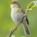 부영서해마트 이미지