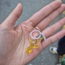 써니뽑기 | 전주 객사 가챠샵 피크민 써니사이드 가챠 후기