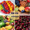 [덕계]시니어 휴대폰 활용하기 | 쥬니 선생님과 함께한 캔바 썸네일 만들기 – 시니어도 쉽게 배워요