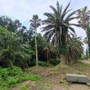 엘리사펜션 이미지