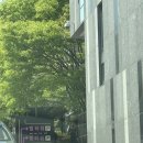 엘타워 오르체홀 상담후기(27년, 견적 O)