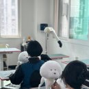 직장인도 빠르게 &#34;애견미용사&#34; 자격증 취득할수 있는 기회를 잡으세요 포항애견미용학원