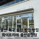 입에서 살살 녹는 식빵 맛집 화이트리에 울산송정점 내돈내산 후기