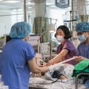 성모상회 이미지