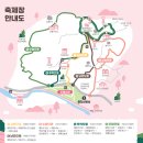 하동중학교 | [광양] 광양 매화축제 주말방문 실시간후기(주차대란 꿀팁,셔틀버스,개화상황,사진꿀팁,먹거리)