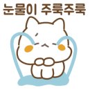 권*수 - 안양시 동안구 경수대로 581 | 권*수