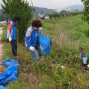 마장 매화둘레길 이미지