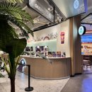 디오크(The oak) | 판교 현대백화점 식품관 핫플 오크베리 솔직 후기