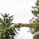 주식회사 소프트네트 | &#34;마이크로소프트 클라우드·인공지능 국제인증 자격증 응시 전원 합격&#34;