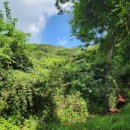 연곡리 사지 이미지