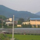 남성마을 이미지