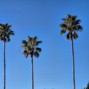 올레관광호텔 | 올레시장 근처 호텔 ‘서귀포 칼호텔’ 1박 2일 숙박, ‘조식부페 살레’ 후기