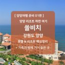 송전 펫 하우스 | 양양 숙소 쏠비치 리조트 &amp; 호텔 핵심정리