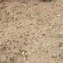 동산원 농원 이미지