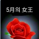 5월 이미지