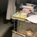 내국수집 이미지