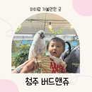 아름이농장 | 청주동물원 버드앤쥬 청주 실내 아이랑 가볼만한 곳