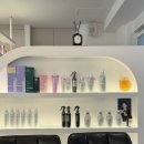 진명프라자 | 시연헤어 오목교점 분위기 있는 여자 머리 염색 퍼스널 컬러 겨울 염색 후기