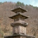 609 Daum카페