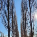 광나루공원 | 시내에서 드론을 마음껏 날릴 수 있는 곳이 있다고? - 광나루 한강 드론장(한강드론공원) 예약, 방문 후기