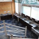 웰리힐리파크 오토캠핑장 이미지