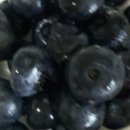 순영목장 이미지