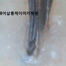 헤어살롱케이머리병원