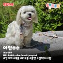 아임수수 - 수원시 영통구 창룡대로256번길 77 | 아임수수