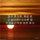일산중고폰매입소녀폰