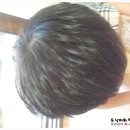 사과나무스킨케어 - 이천시 애련정로145번길 29 | 사과나무스킨케어